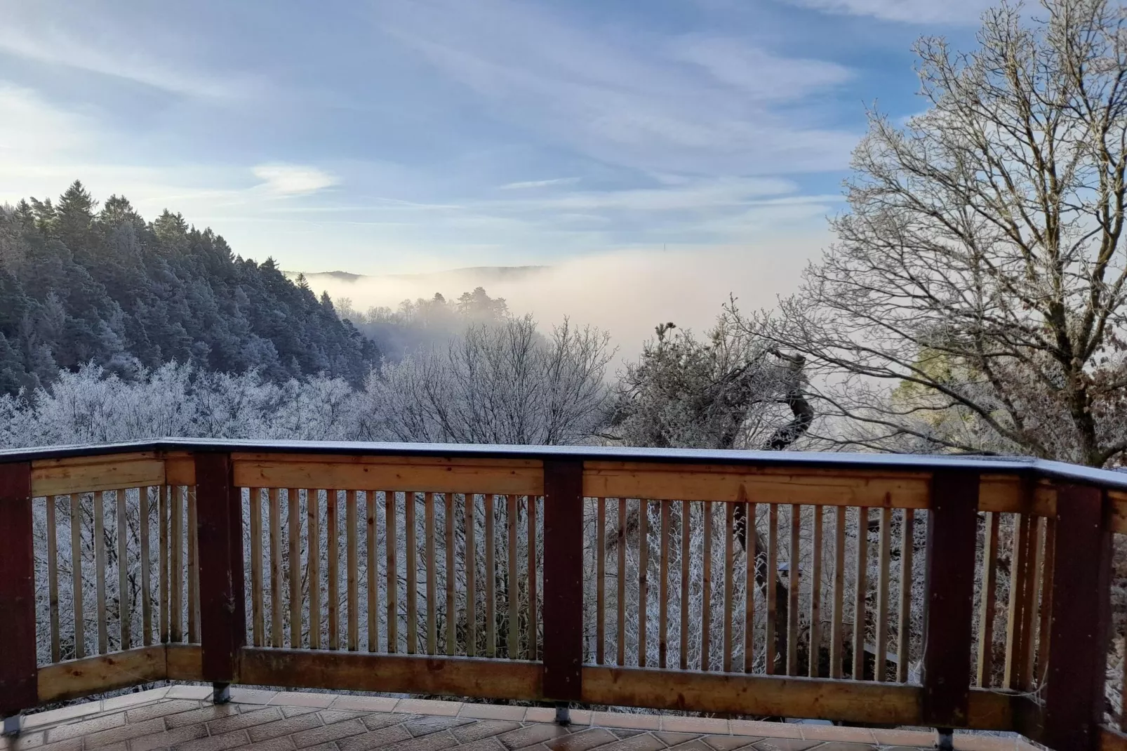 Ferienhaus Sackpfeifenblick-View winter