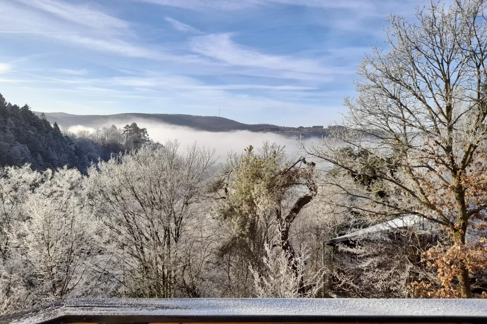 Ferienhaus Sackpfeifenblick-View winter