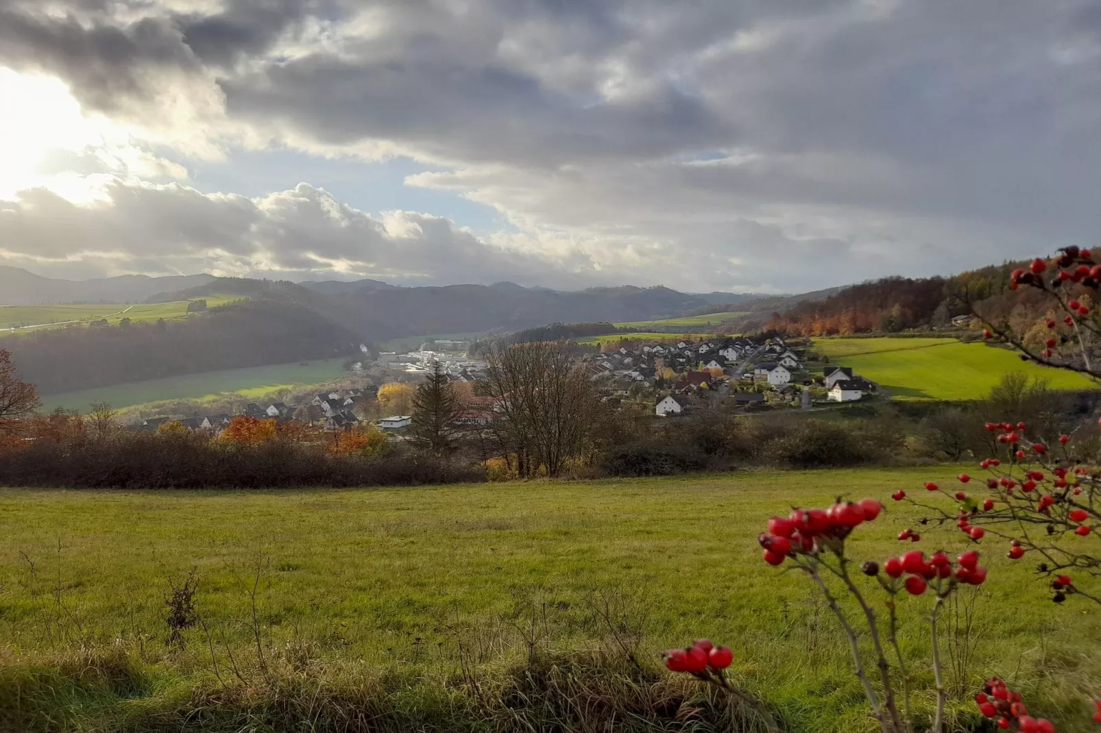 Ferienhaus Sackpfeifenblick-View summer