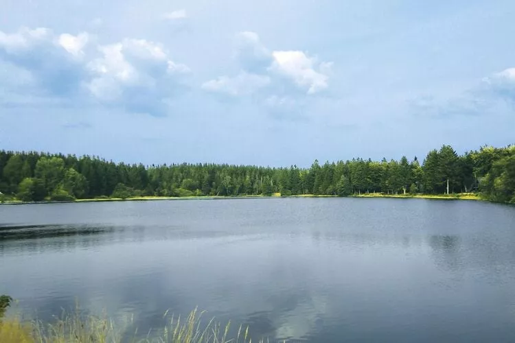 Typ A -  Nurdachhaus - mit Haustier-Water view