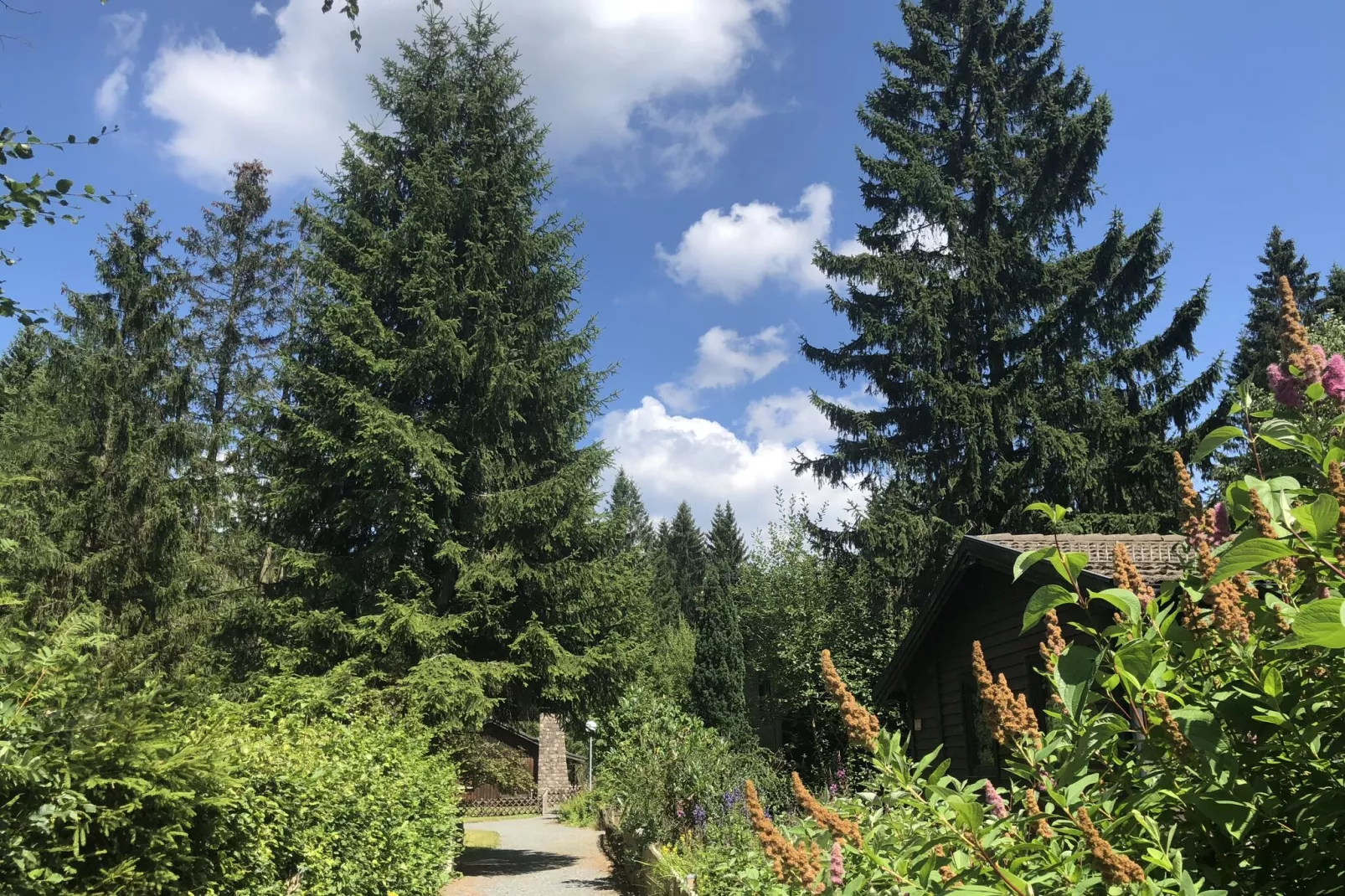 Typ A -  Nurdachhaus - mit Haustier-Areas summer 1km