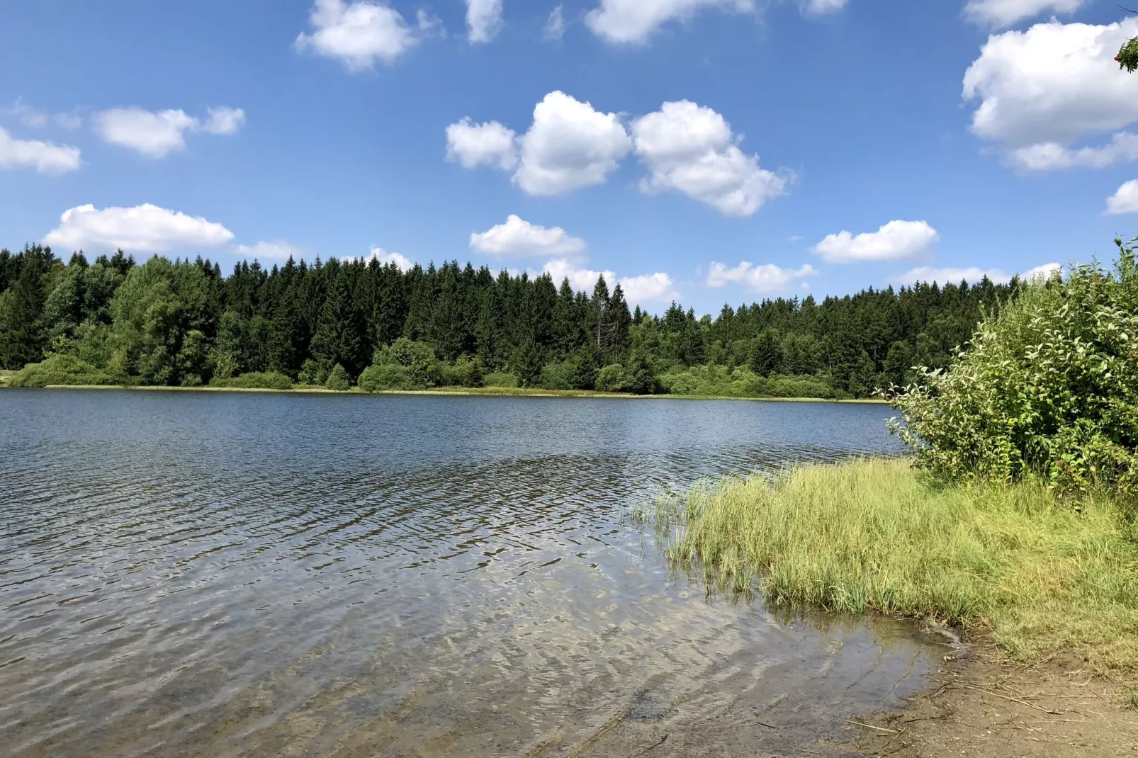 Typ A -  Nurdachhaus - mit Haustier-Areas summer 1km