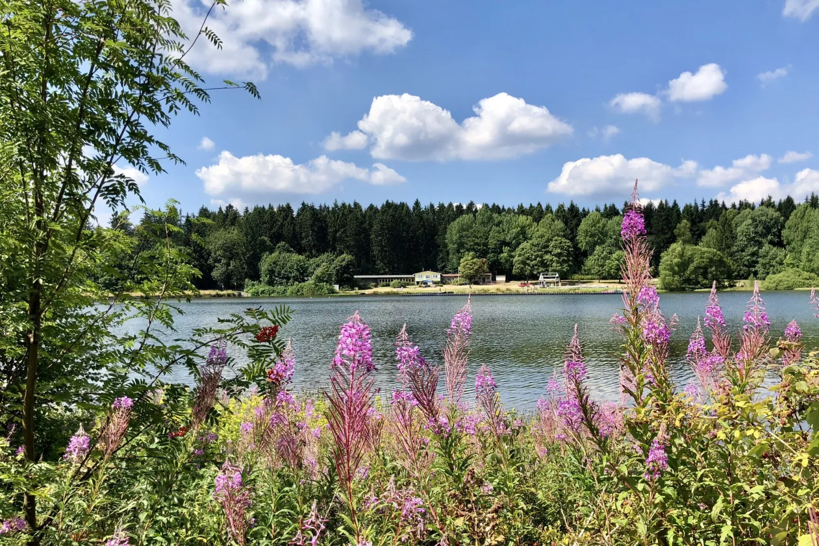 Typ A -  Nurdachhaus - mit Haustier-Areas summer 1km