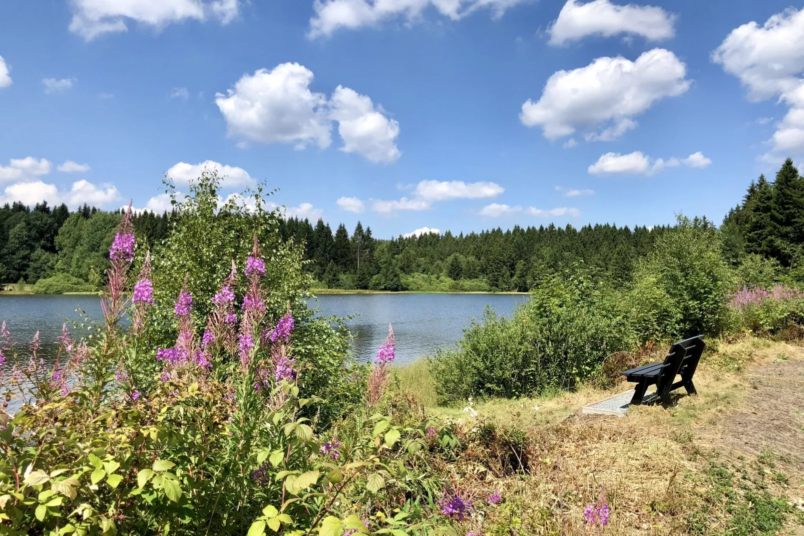 Typ A -  Nurdachhaus - mit Haustier-Areas summer 1km