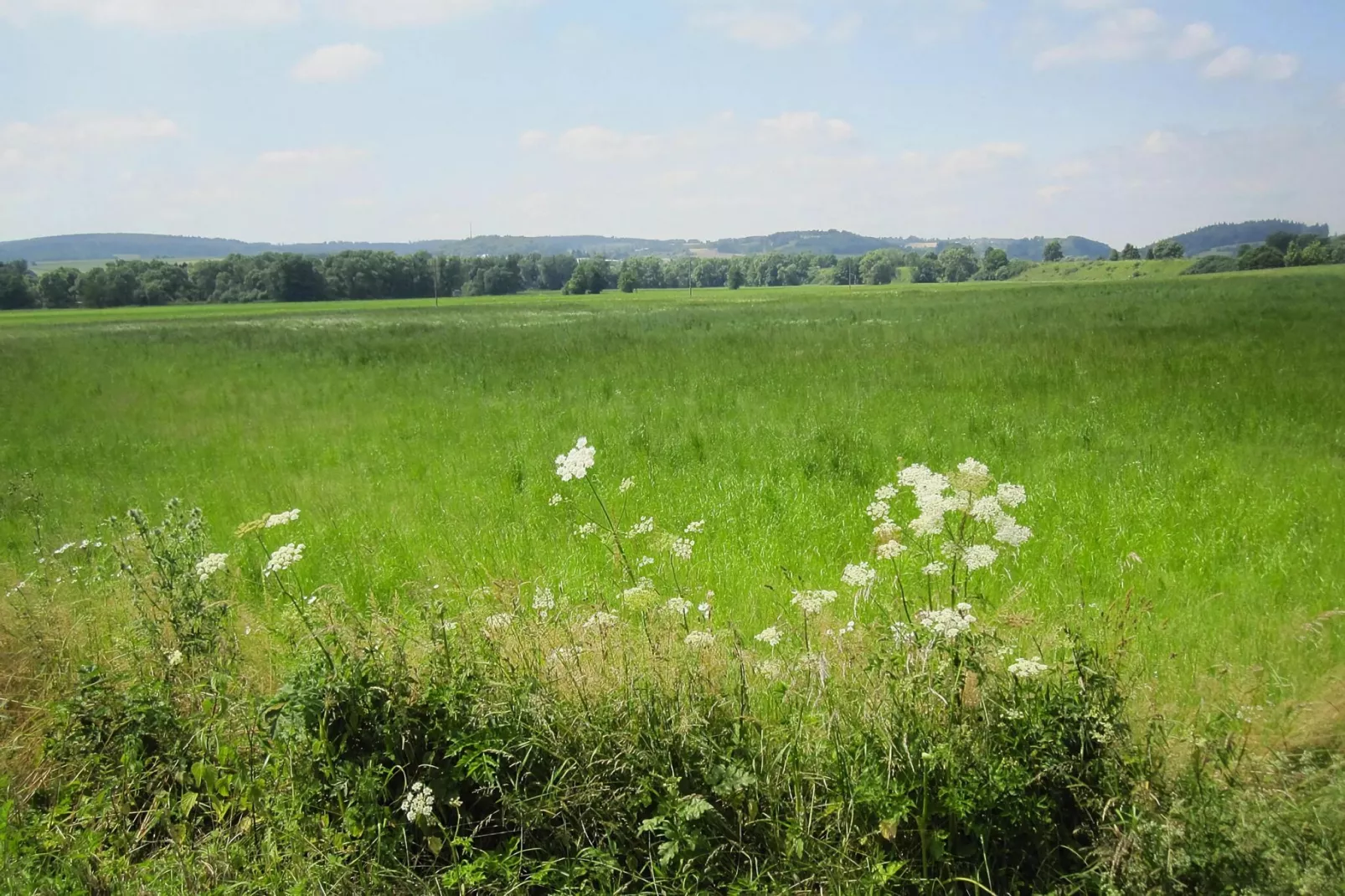 Habicht 1-2 Pers-Areas summer 5km