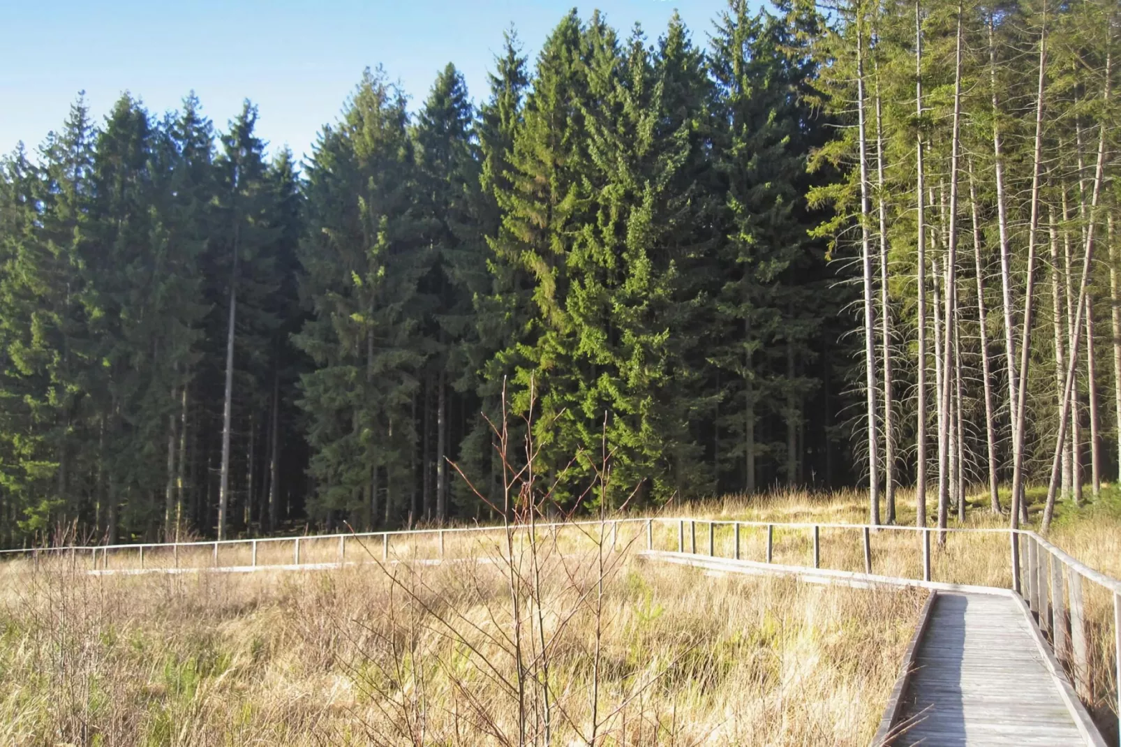 Habicht 1-2 Pers-Areas summer 5km