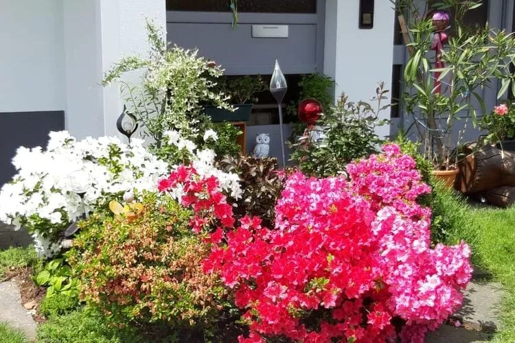 Fewo 75 qm-Gardens summer