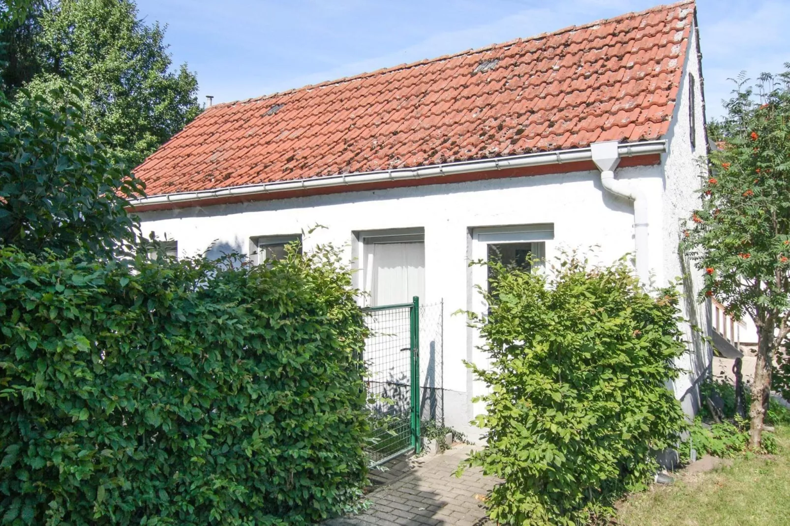 Ferienhaus Gänseblümchen-Extérieur été