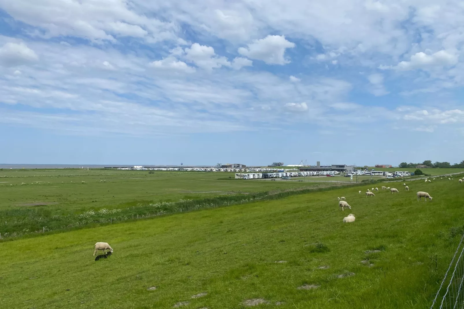 Paddelechse 80-Areas summer 5km