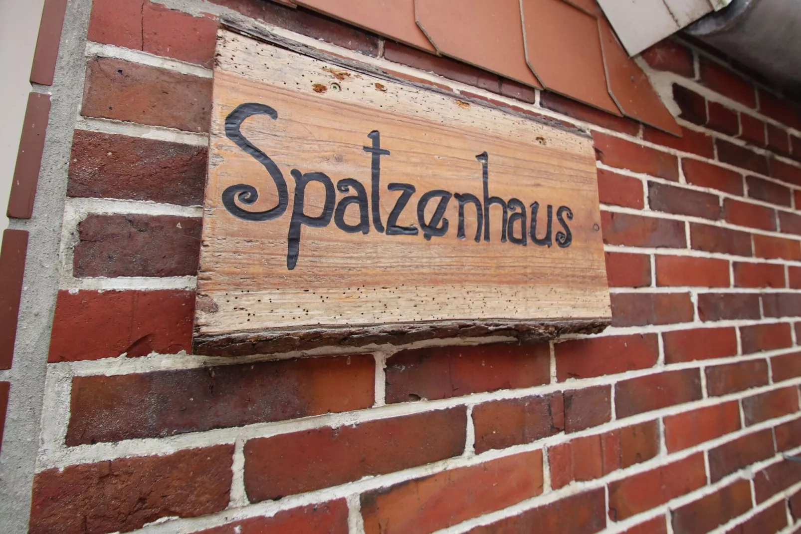 Spatzenhaus-Exterior summer