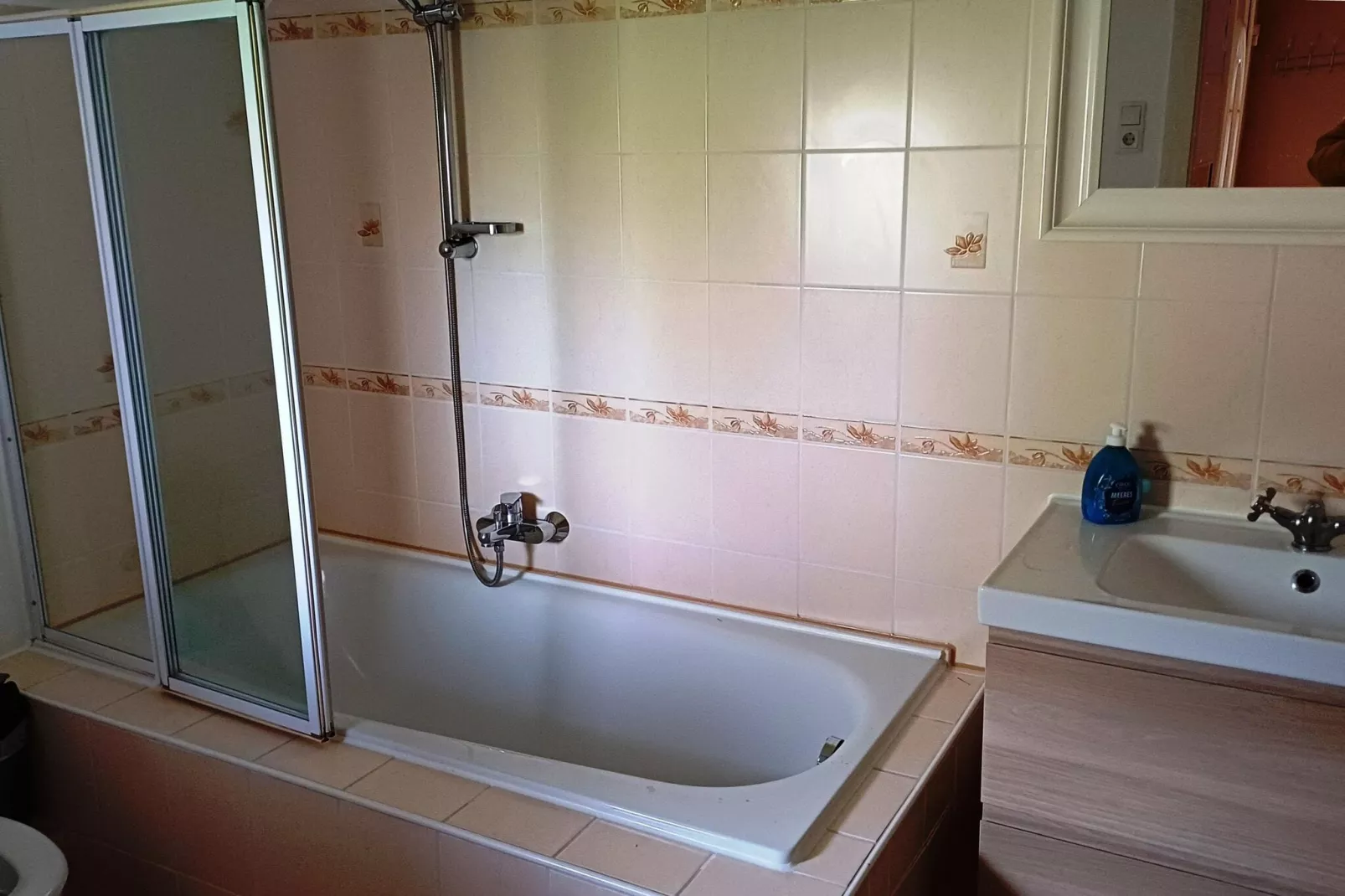 Ferienhaus mit großem Grundstück in Friederikensiel-Salle de bain