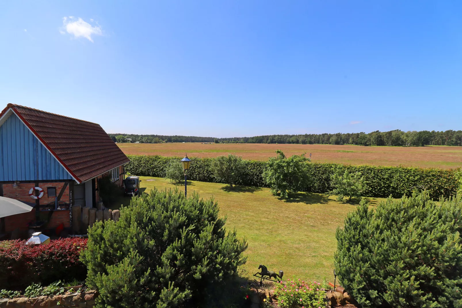 Ferienwohnung Wieck am Darß-Ferienwohnung Drews-Aussicht Sommer