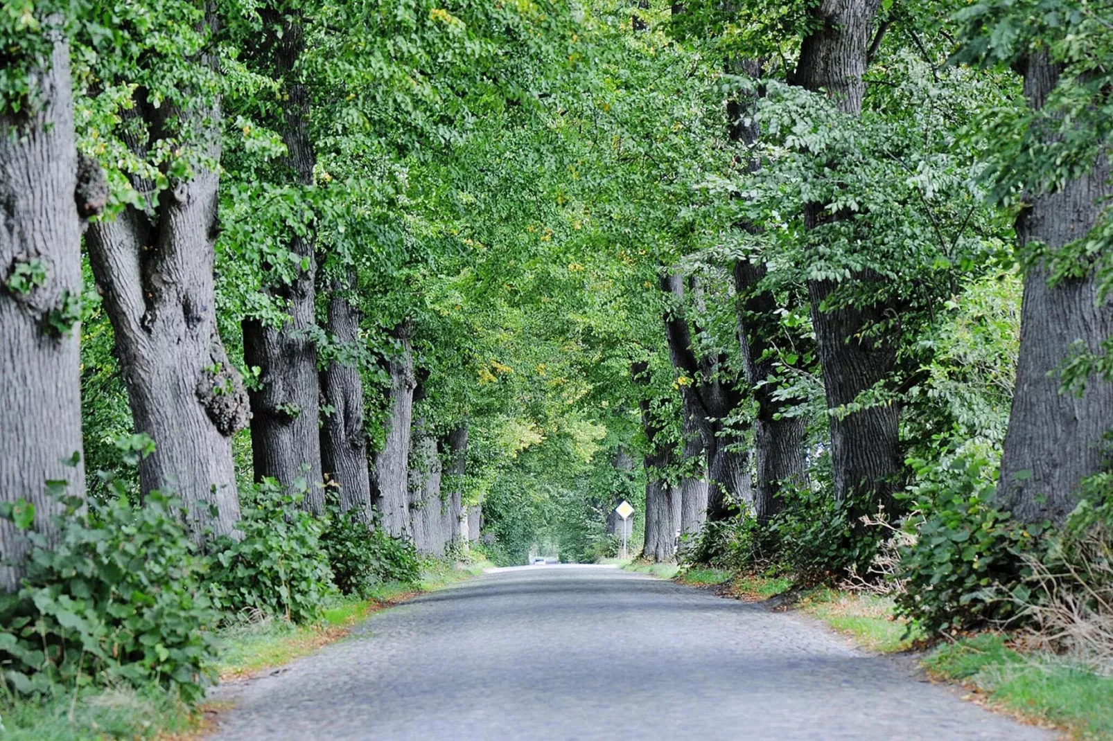 Gutshaus Zicker -Wohnung 4-Areas summer 20km