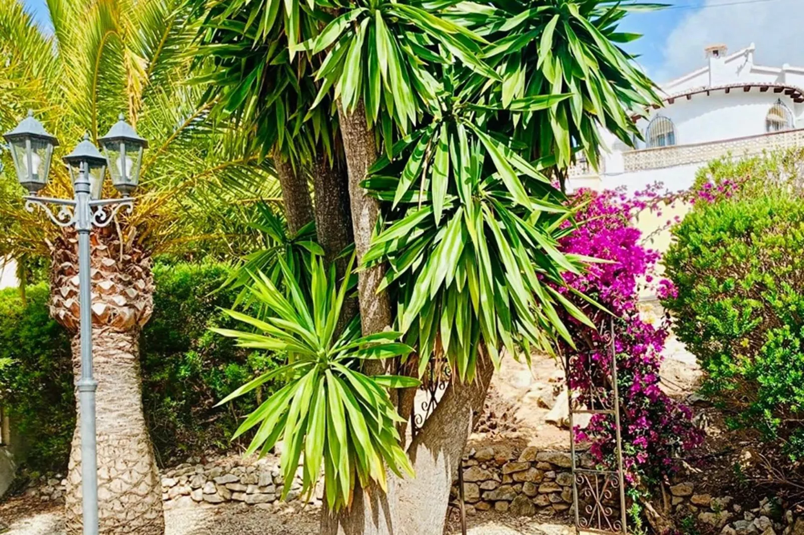 Casa Alegria-Jardins en été
