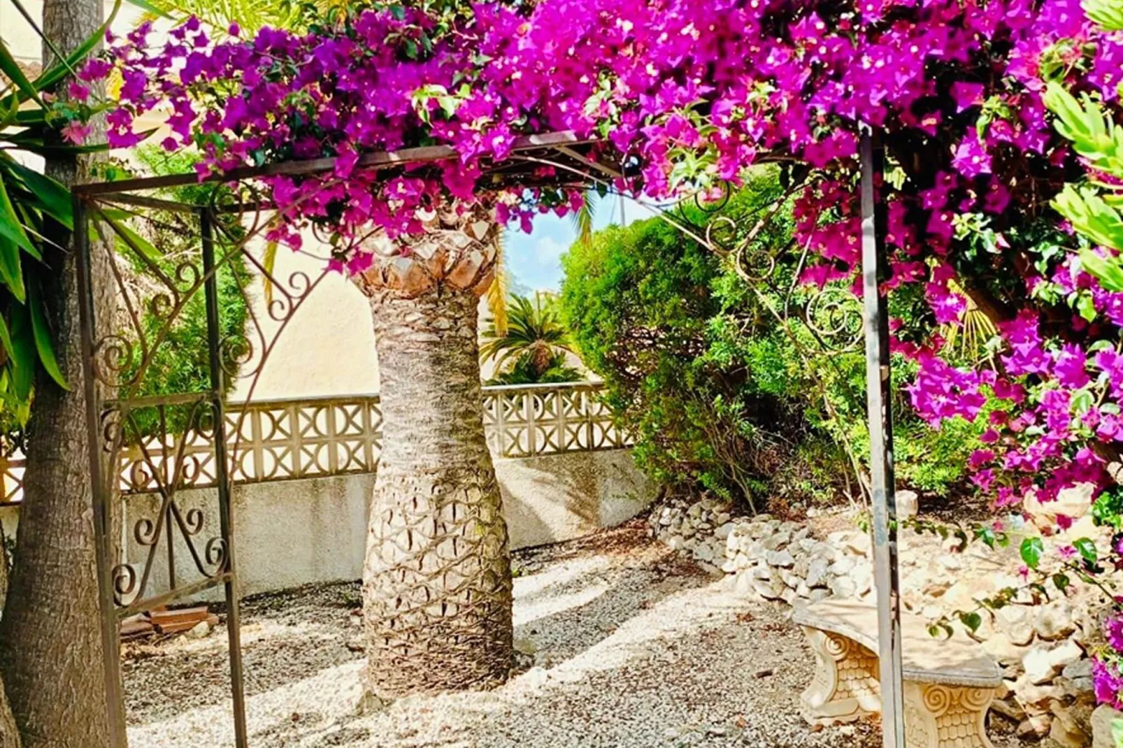 Casa Alegria-Jardins en été