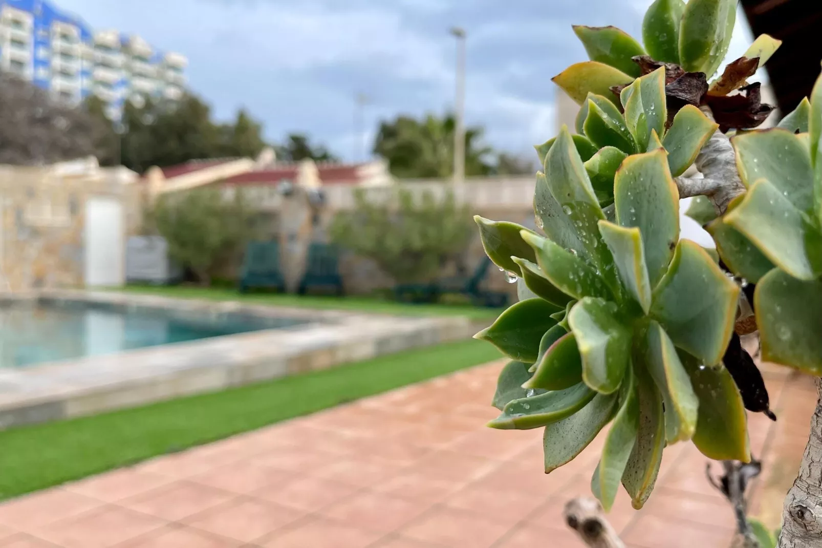 Villa Rio Tajo-Gärten Sommer