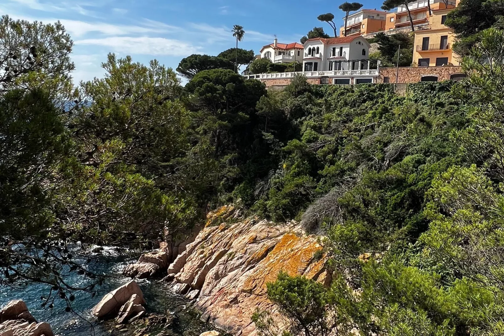 Montecarlo-Areas summer 1km
