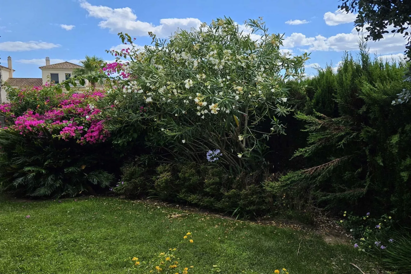 Casa Guadiana-Gardens summer