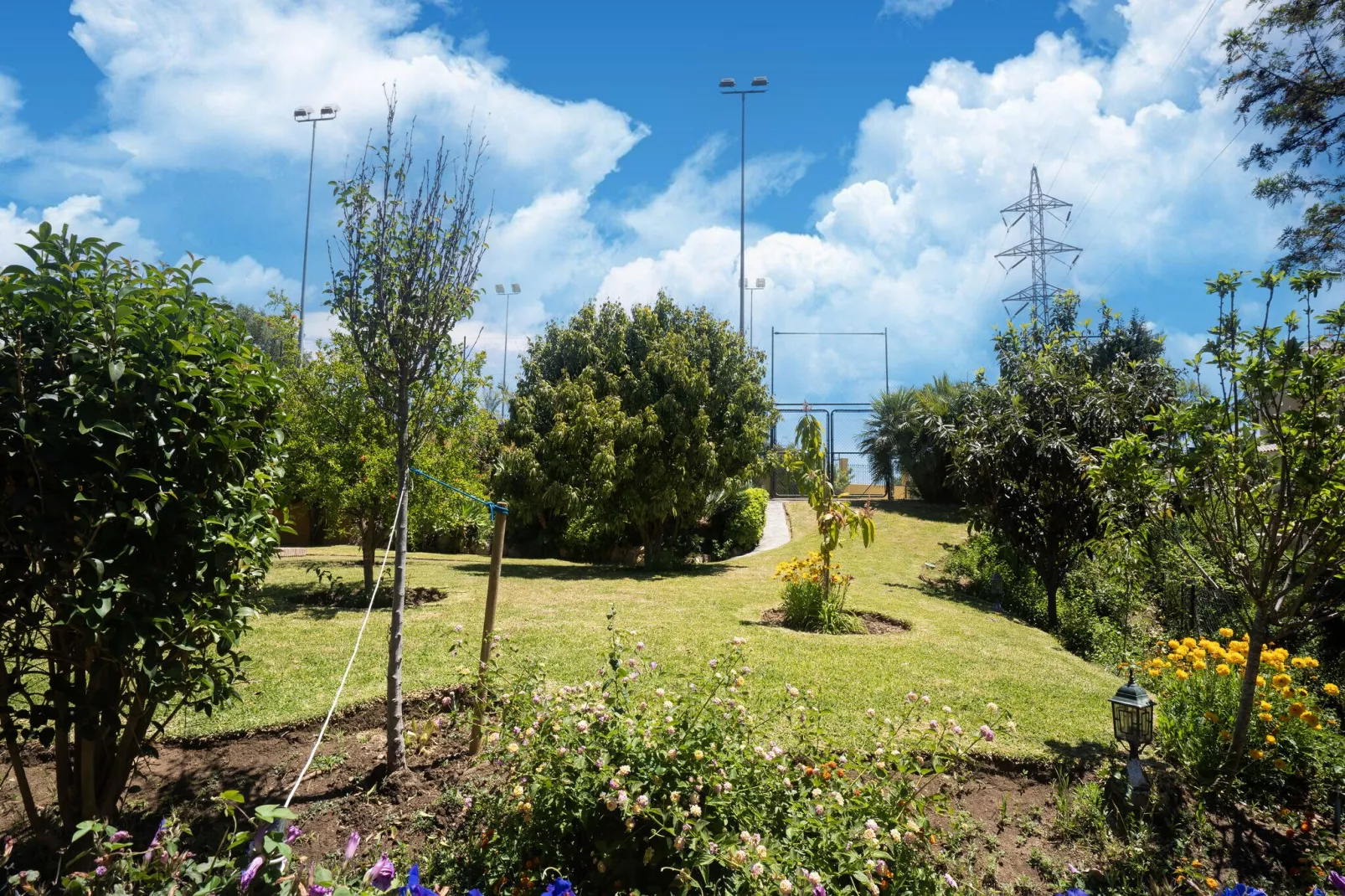 Casa Amarilla-Gardens summer