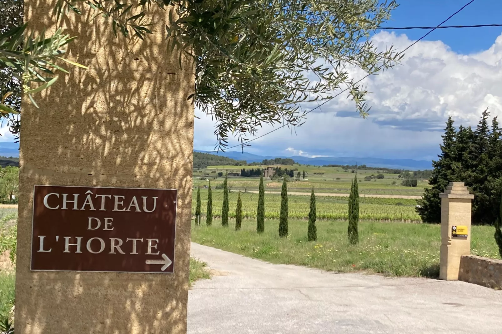 Mas de Montbrun-Areas summer 1km