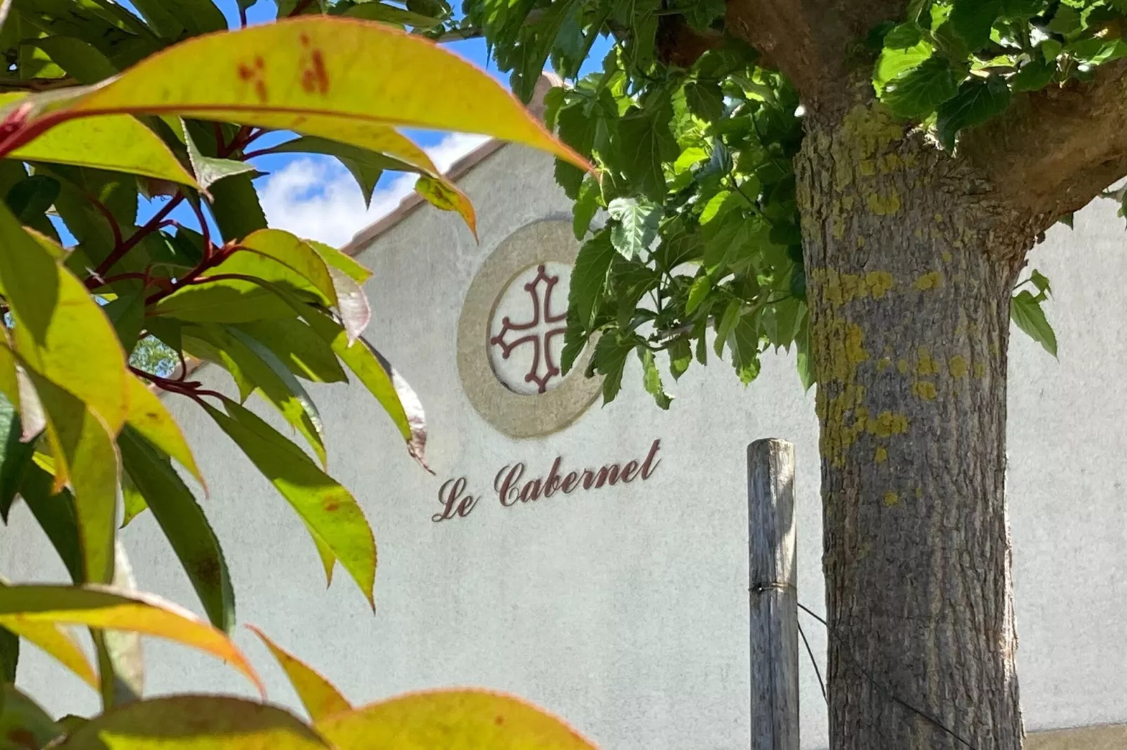 Villa Le Cabernet-Exterior summer