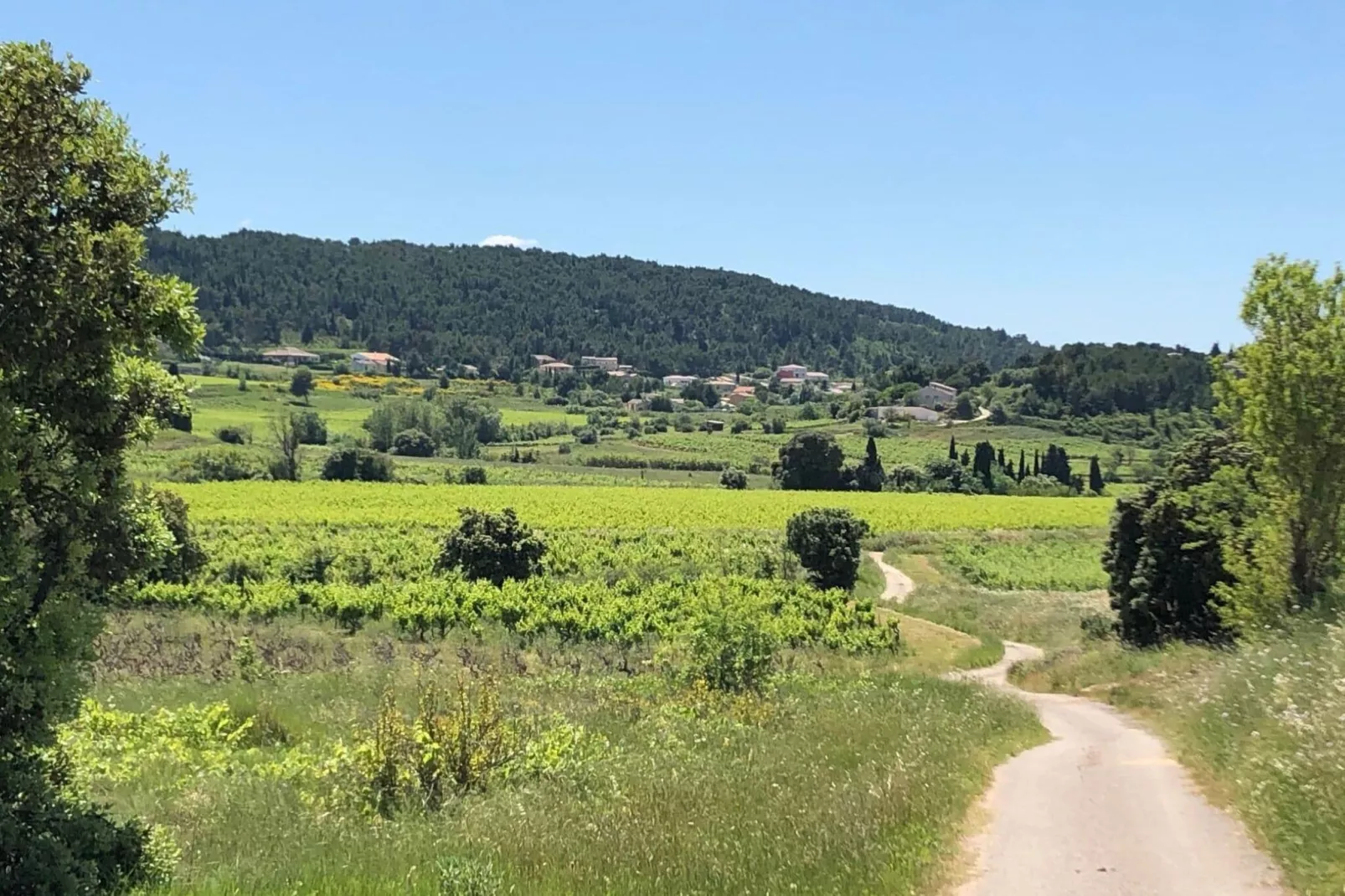 Villa Le Cabernet-Areas summer 1km