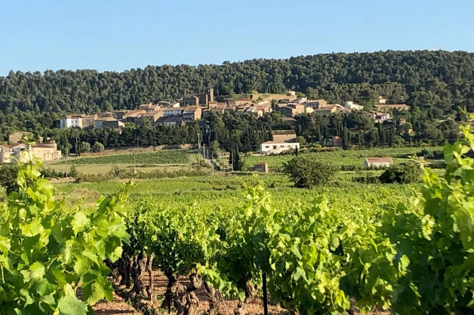 Villa Le Cabernet-Areas summer 1km