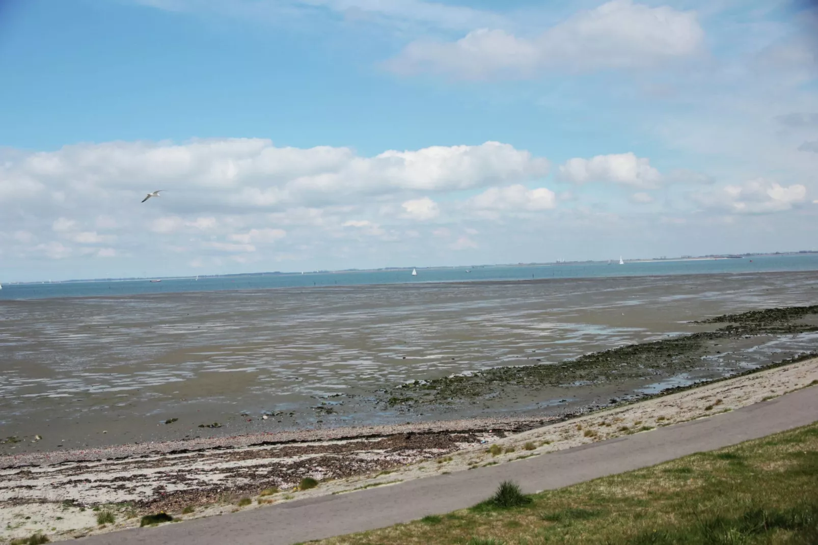 Dichtbij de Oosterschelde-Areas summer 1km