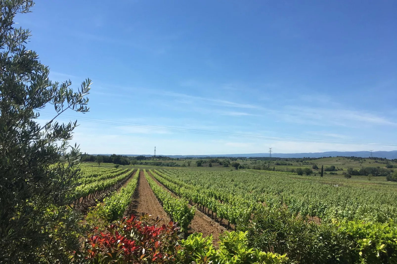 Villa Le Carignan-Areas summer 5km