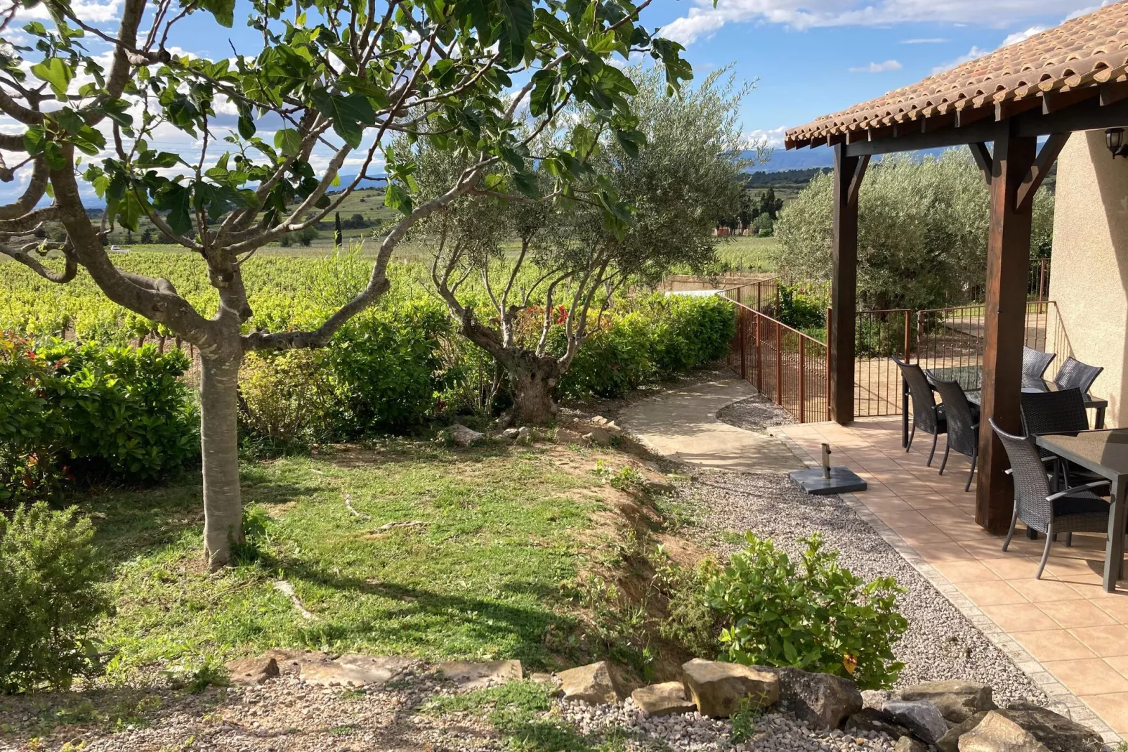 Villa le Syrah-Gardens summer