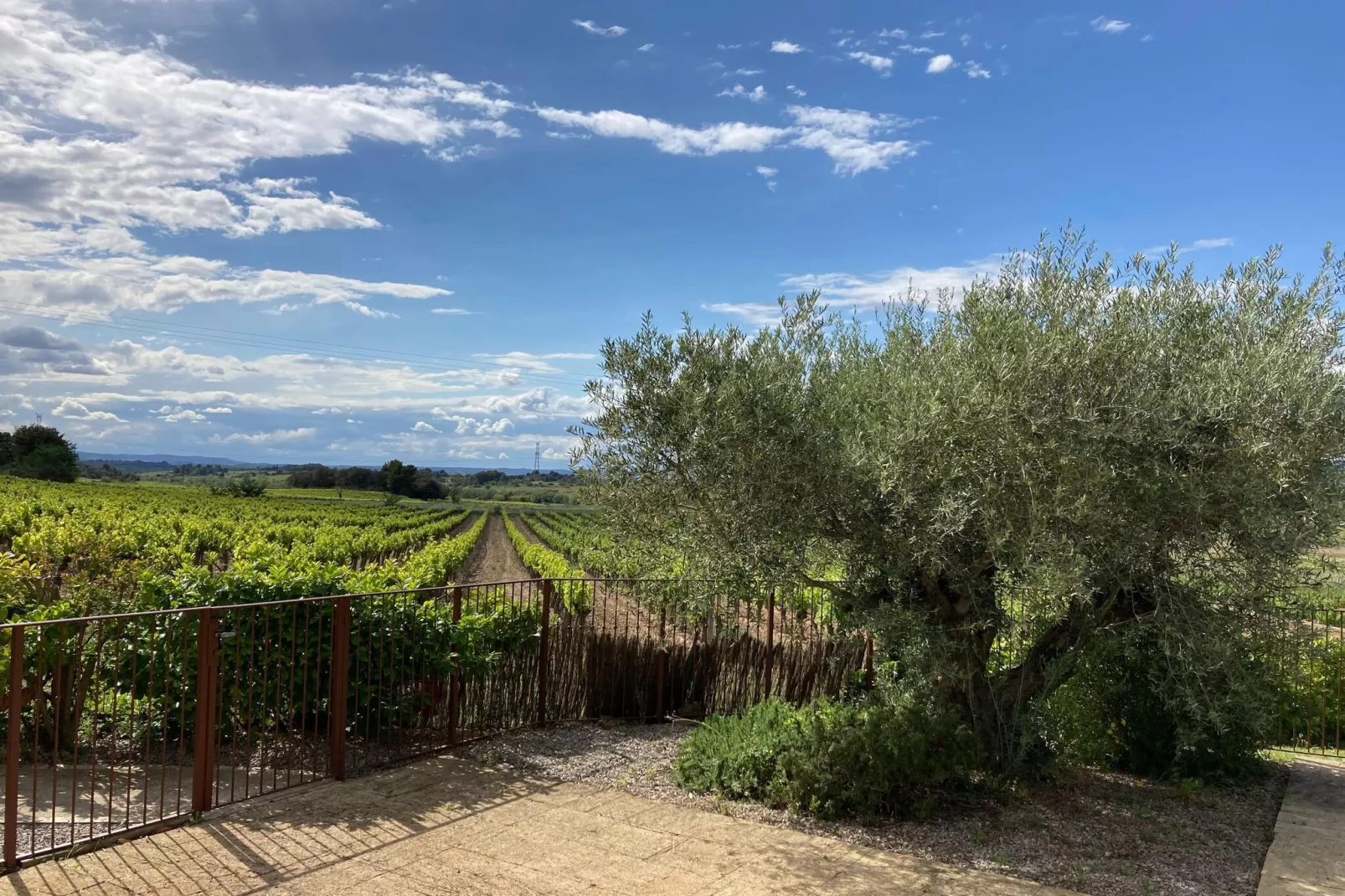 Villa le Syrah-View summer