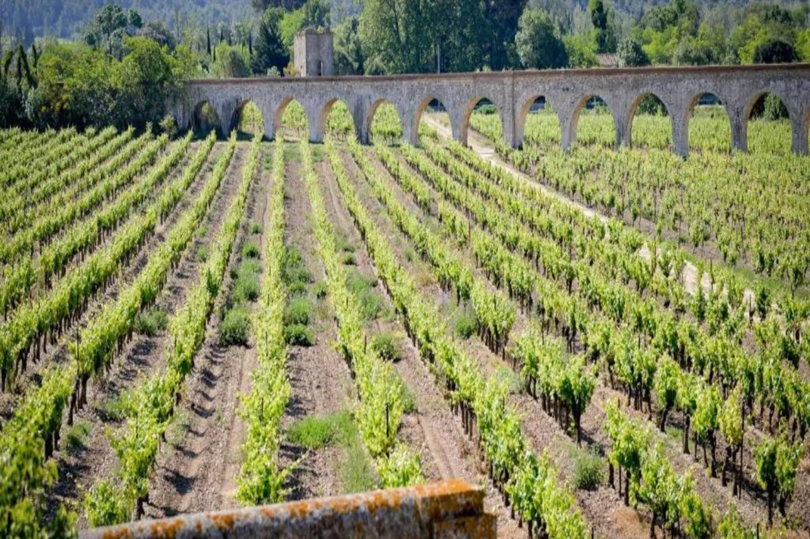 Résidence du Château de Jouarres - Azille // Studio 2 pers-Areas summer 5km