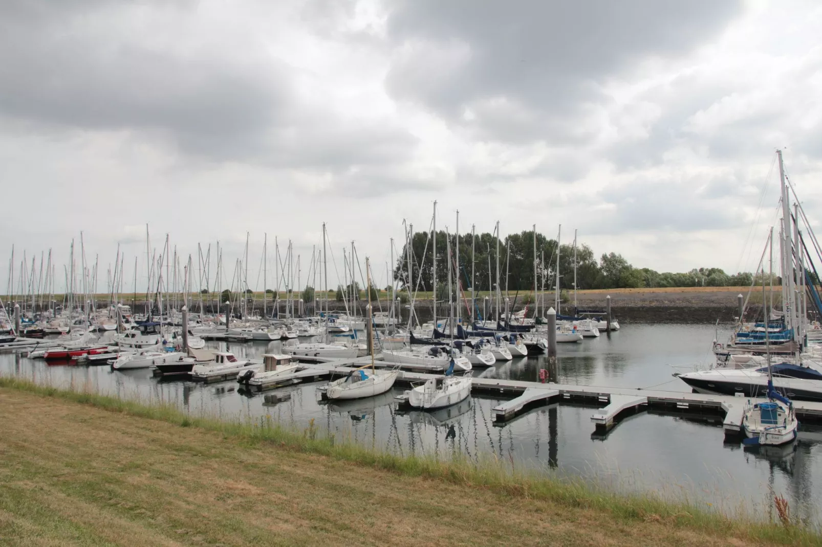 Dichtbij de Oosterschelde-Areas summer 20km