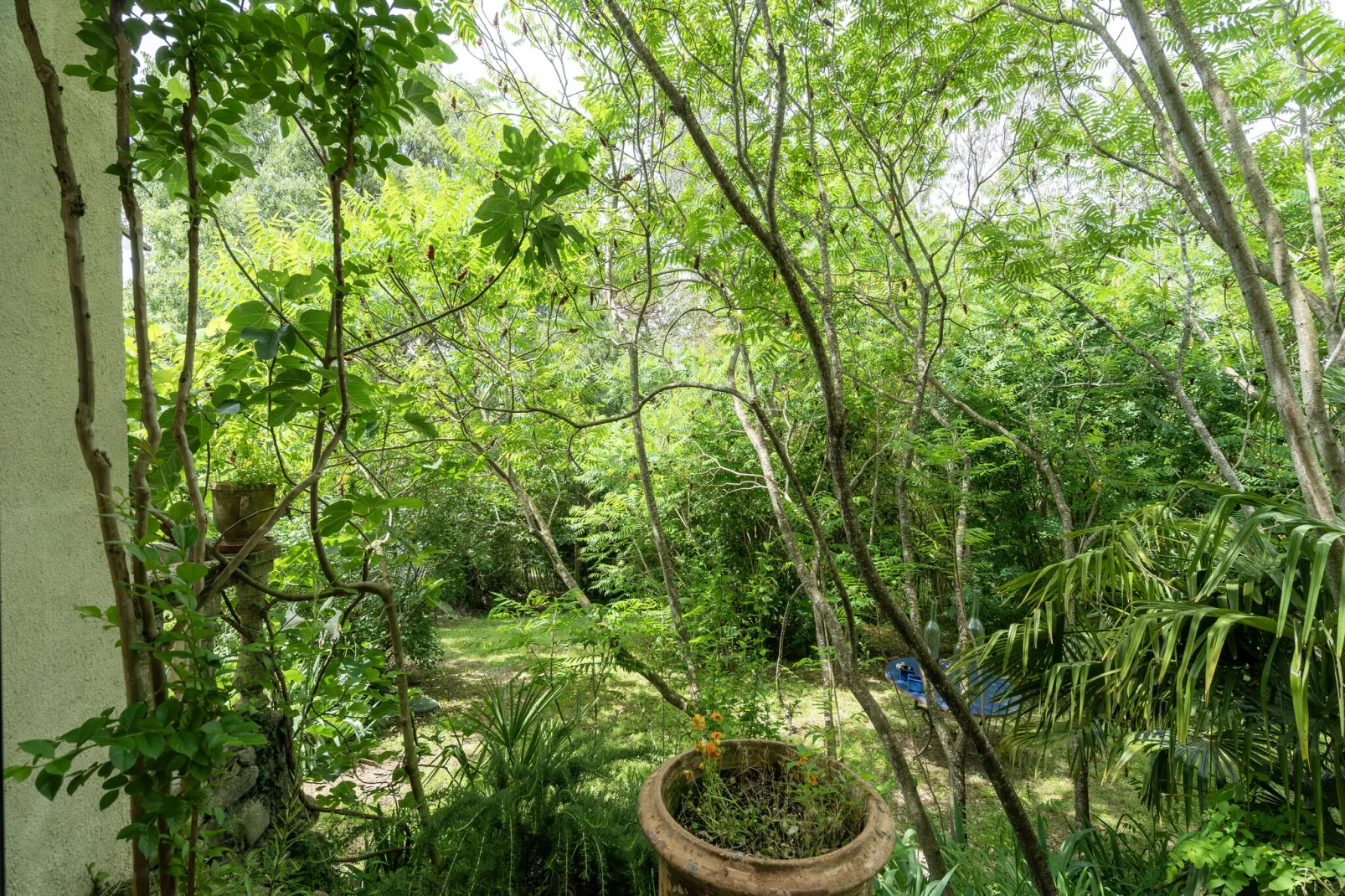 L'Aubépine-Gardens summer