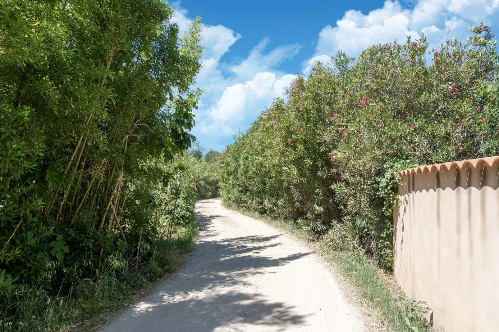 LA BOUSCADE MASTER HOUSE-Areas summer 1km