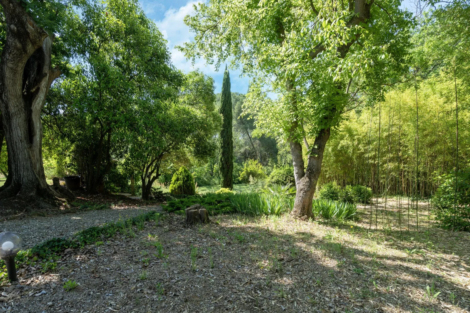 LA BOUSCADE MASTER & GUEST-View summer