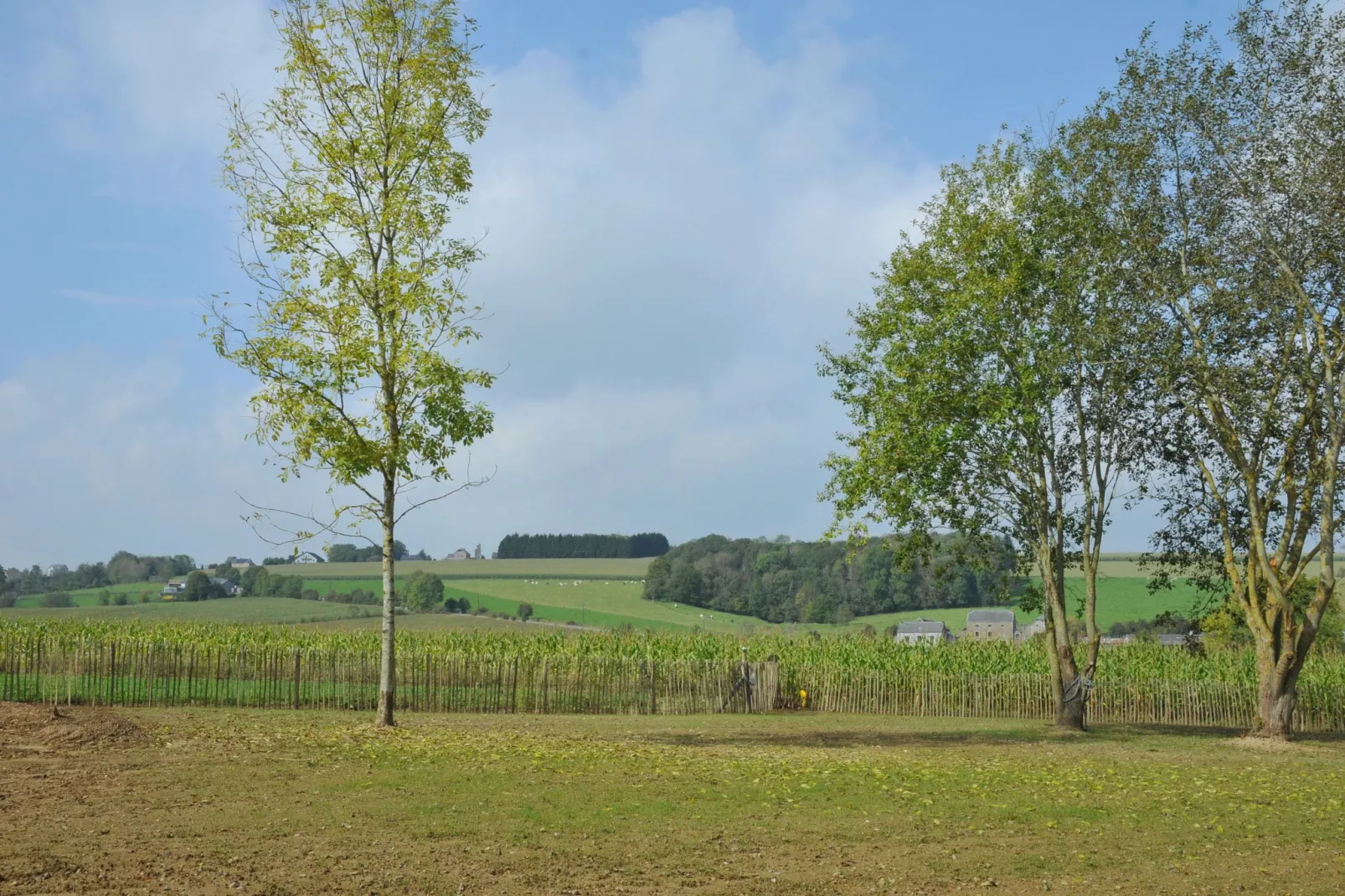 Petit Coin de Paradis-View summer
