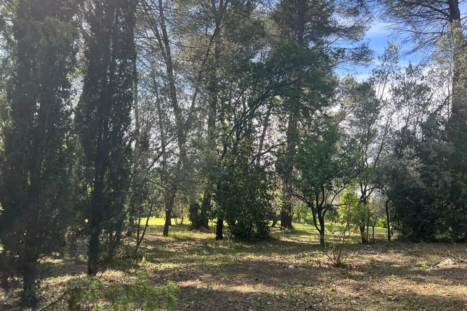 Villa GUIOL-Gardens summer
