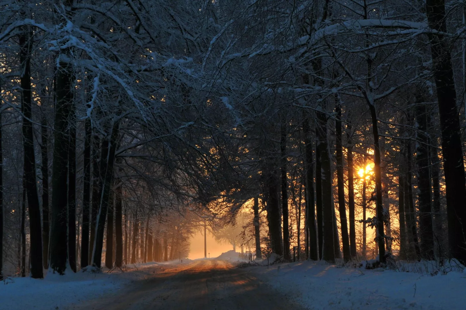 La Colline-Area winter 20km