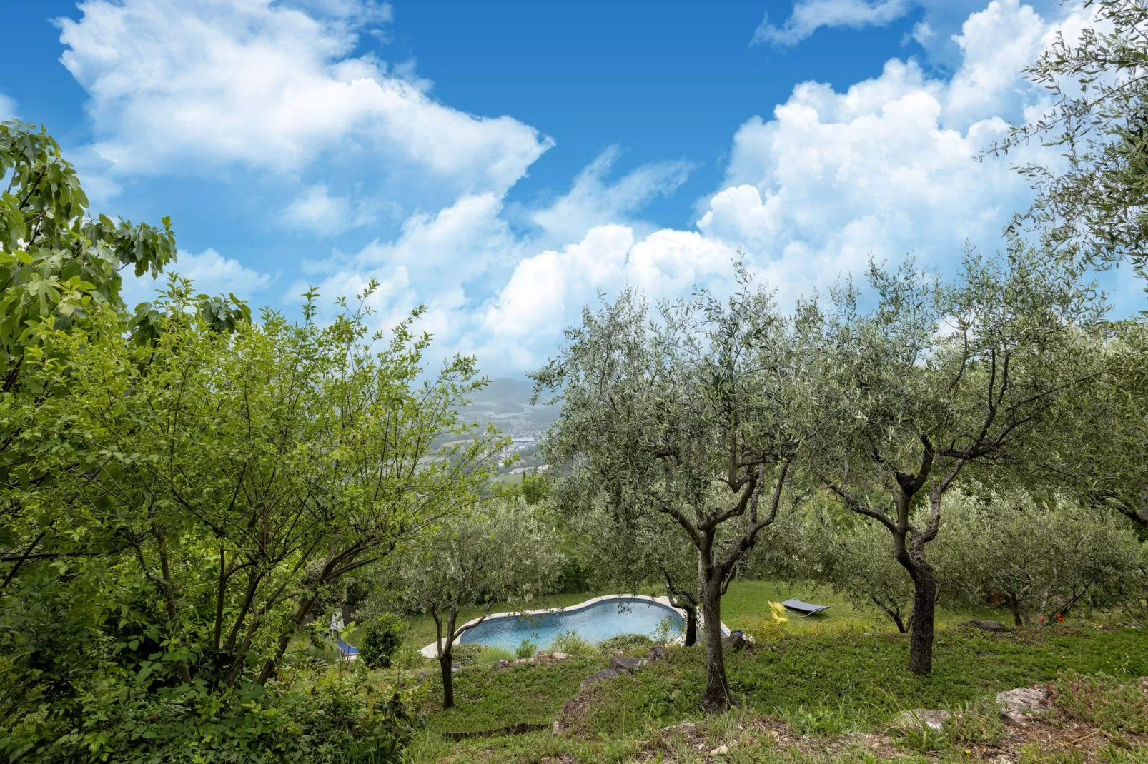 Il Conio Lavanda-View summer