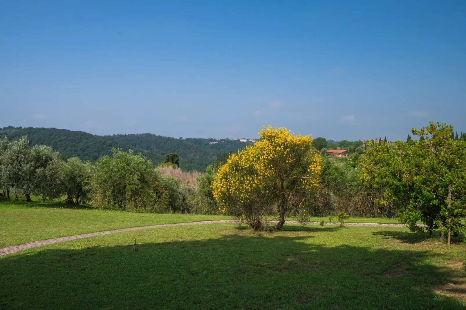 Belvedere-Gardens summer