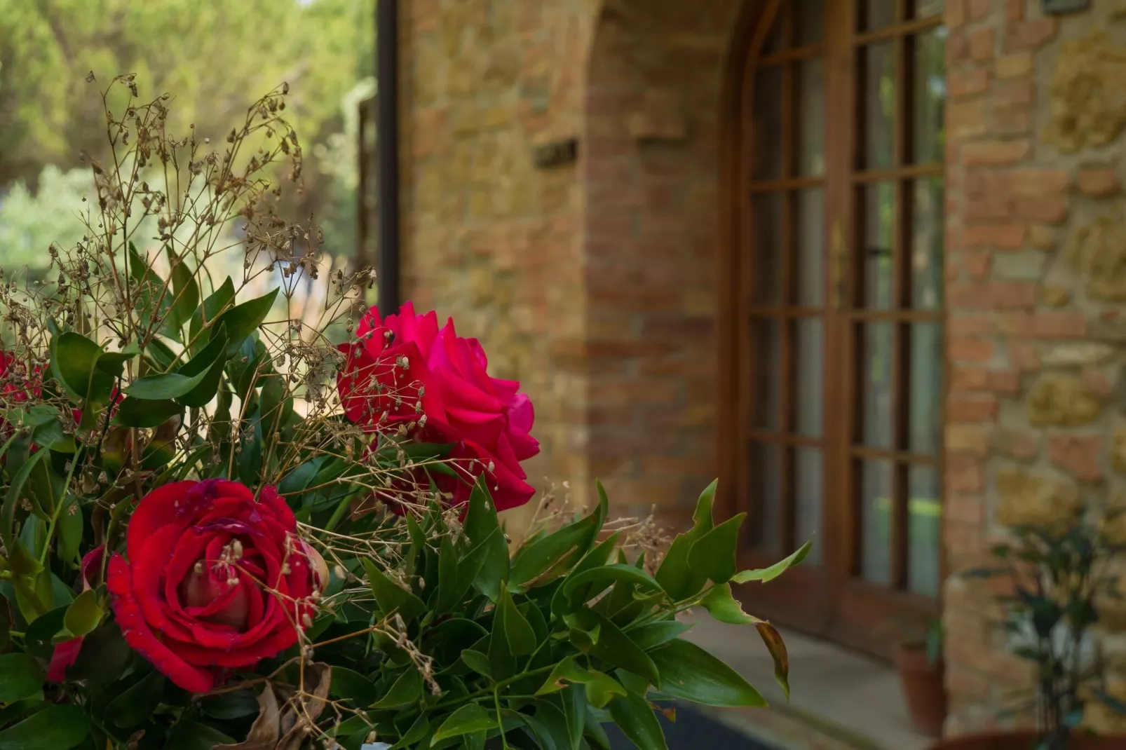 Giada-Gardens summer