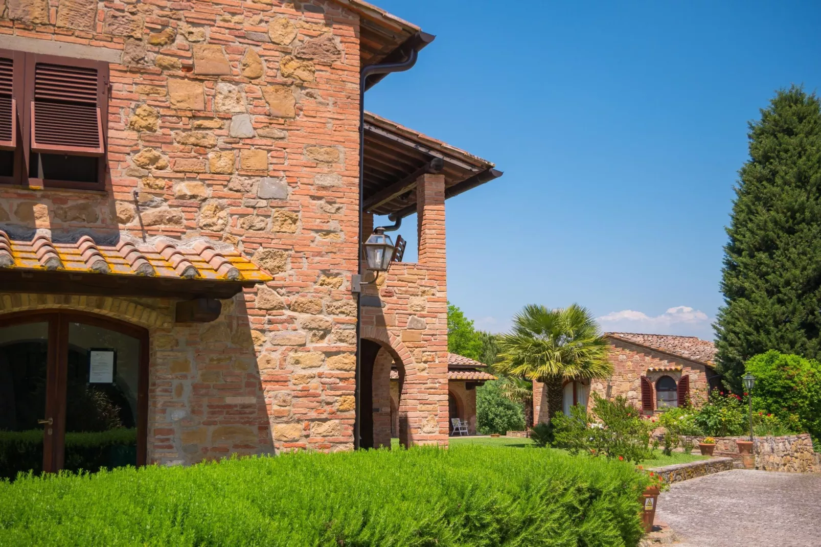 Ciclamino-Exterior summer