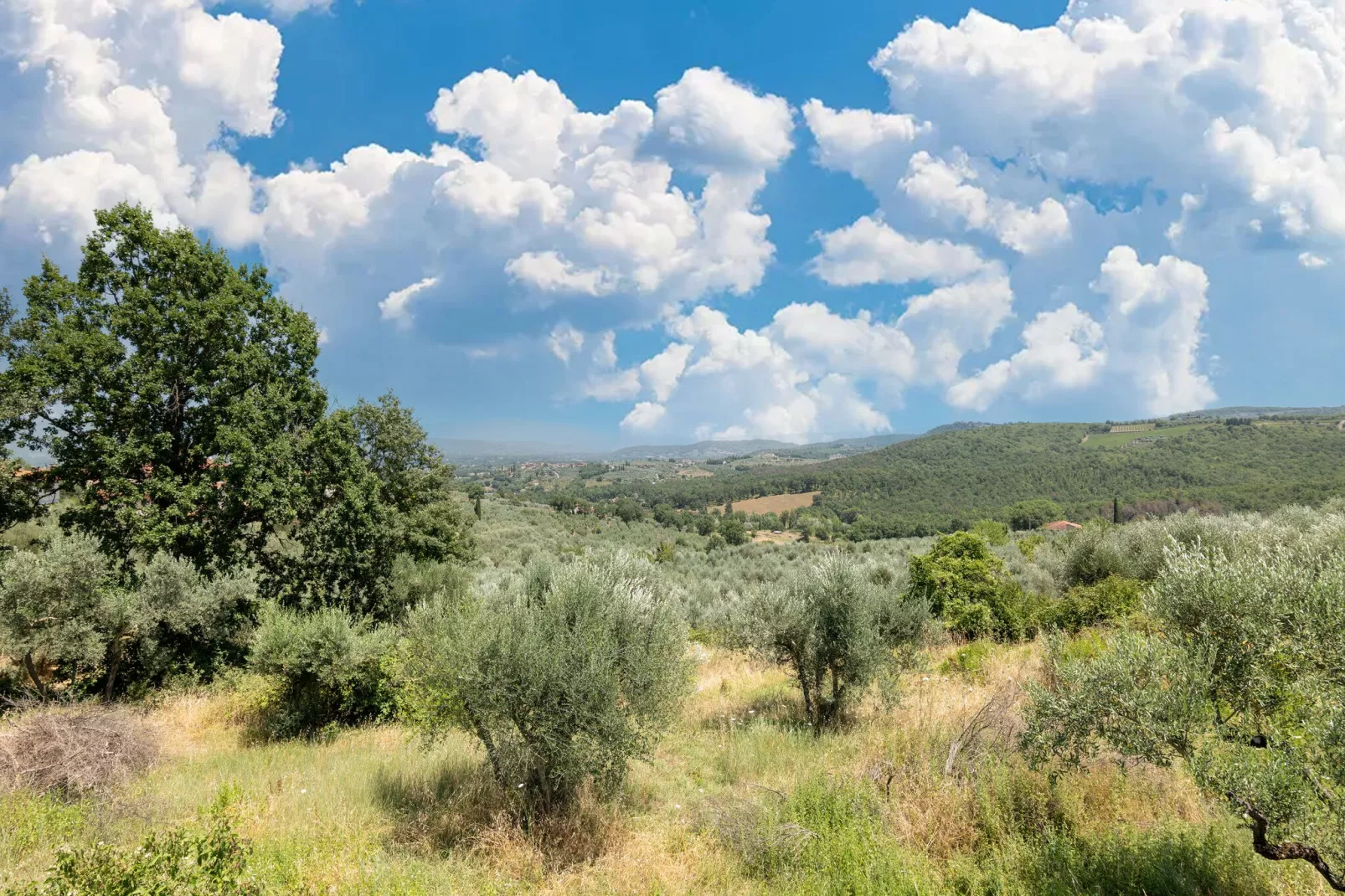 Casa Filippo-Areas summer 5km