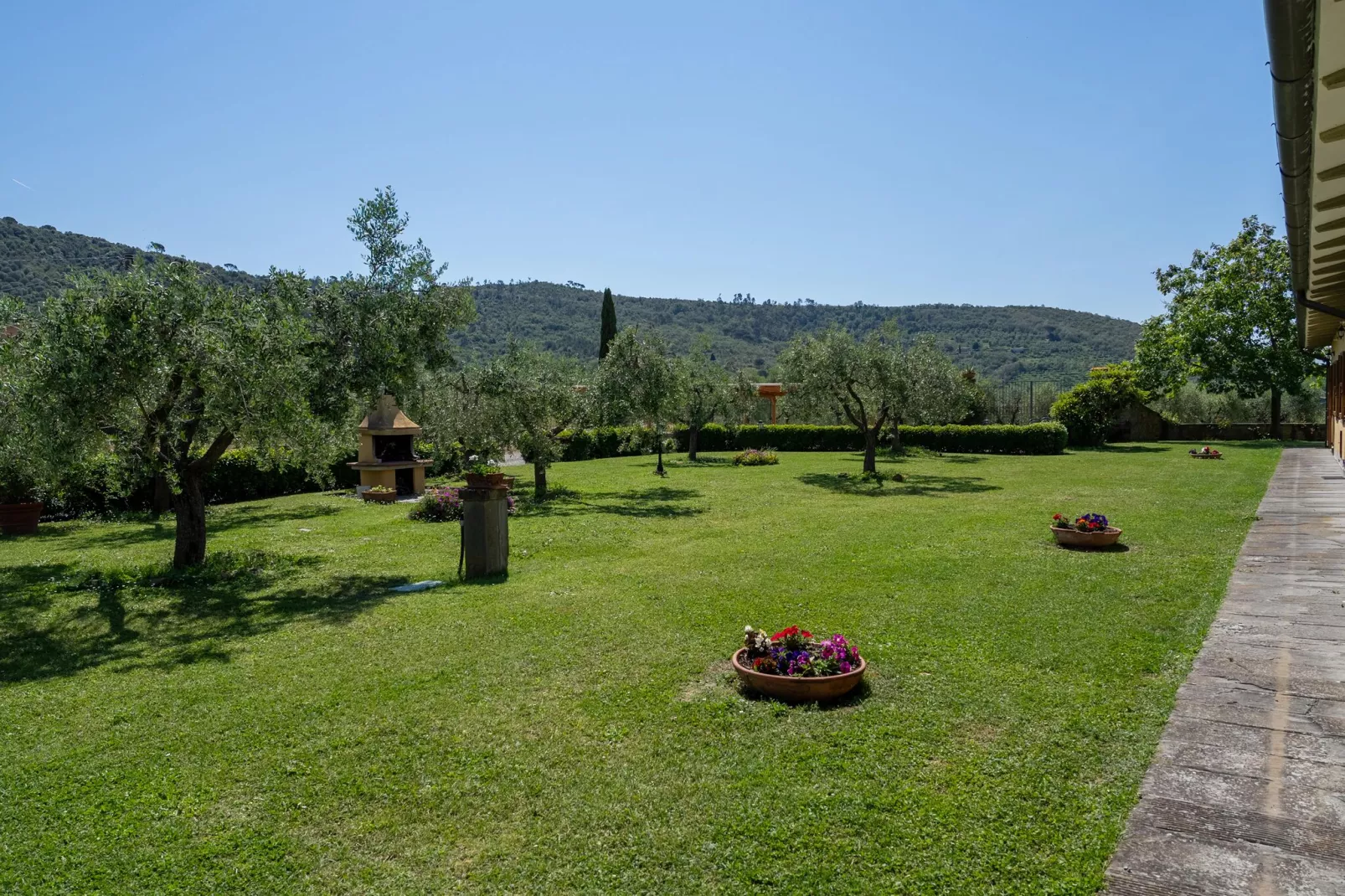 Fattoria Terontola-View summer