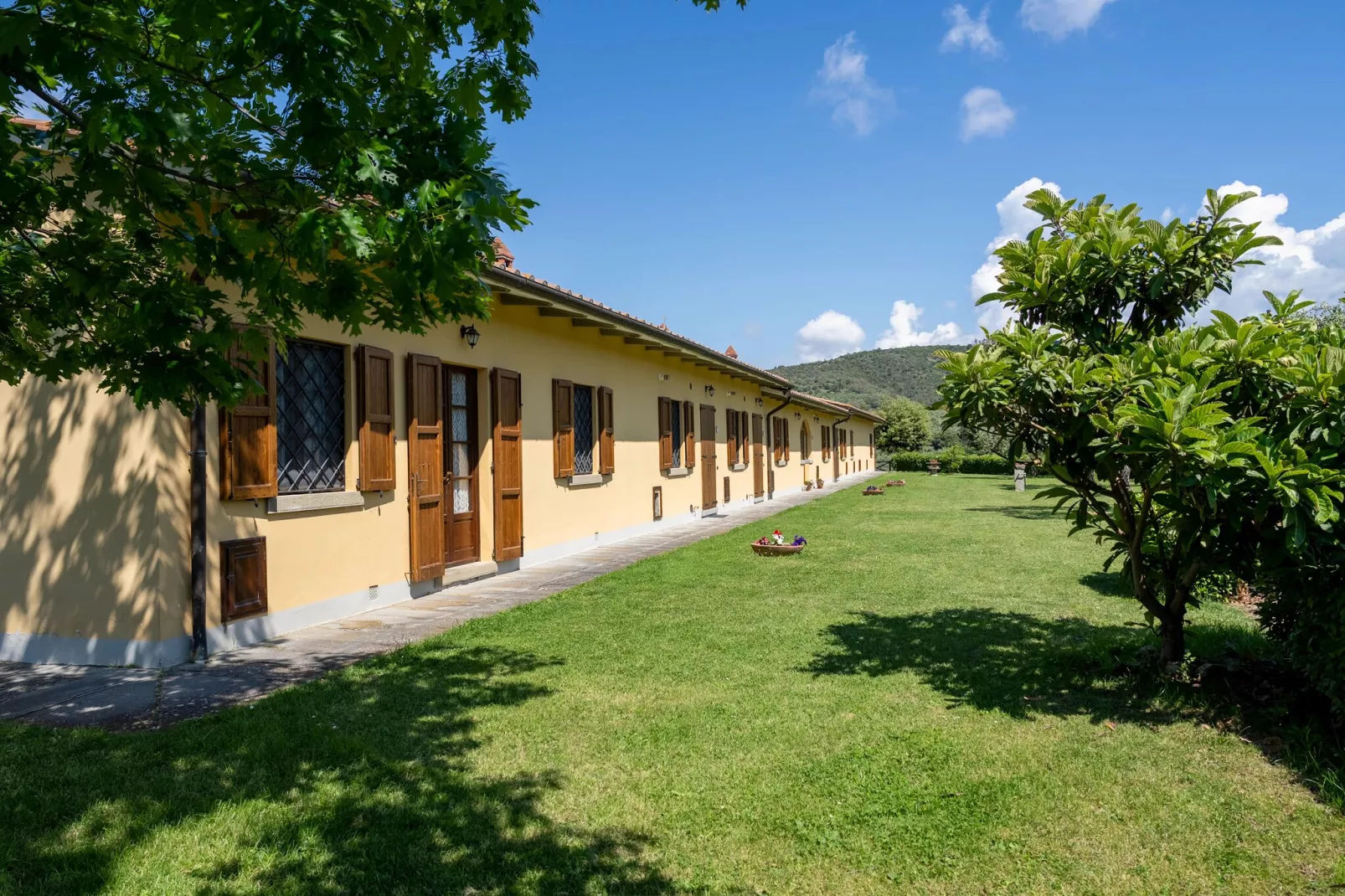 Fattoria Terontola-Exterior summer