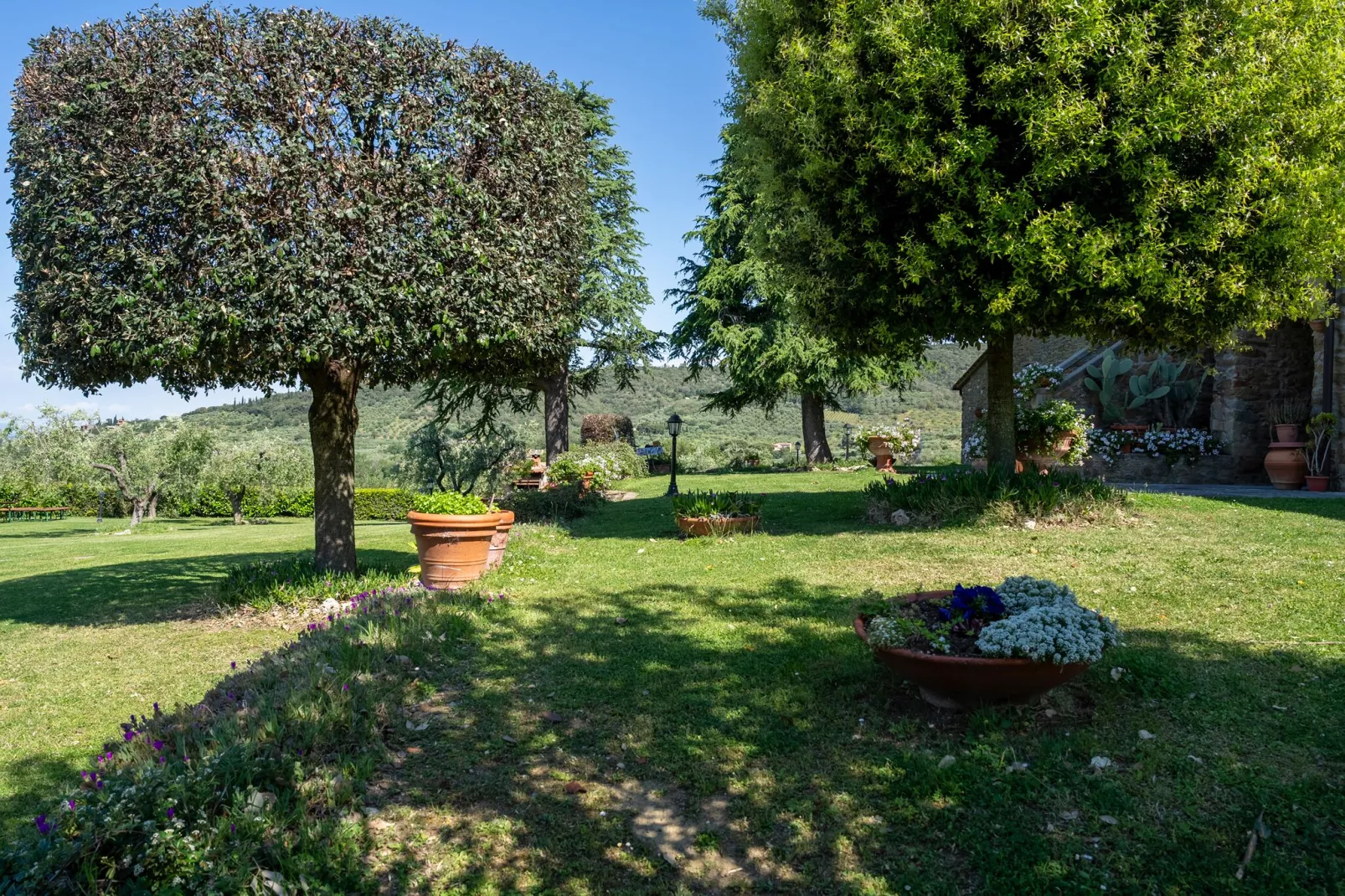 Fattoria Terontola-Gardens summer