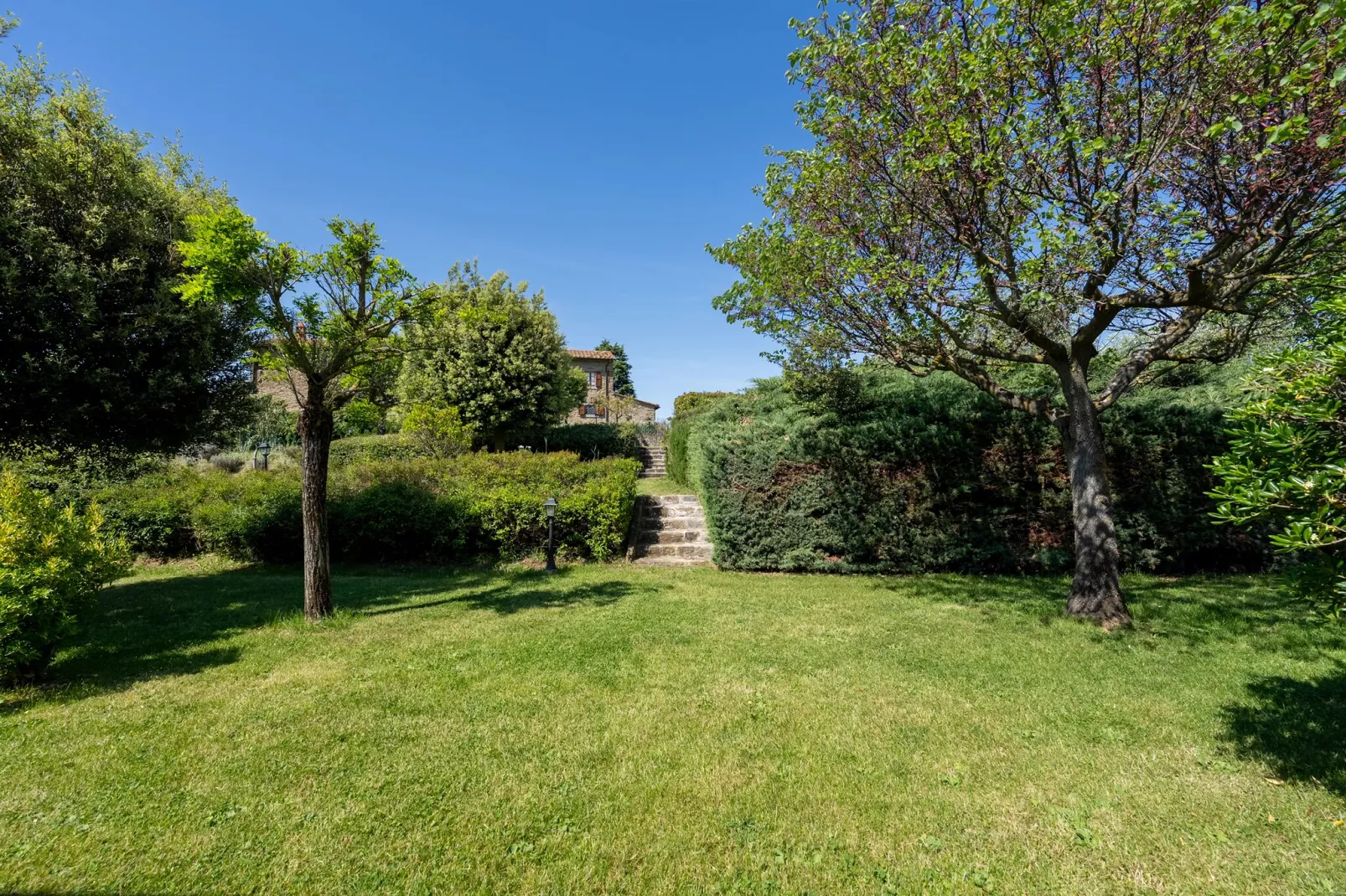 Fattoria Terontola-Gardens summer