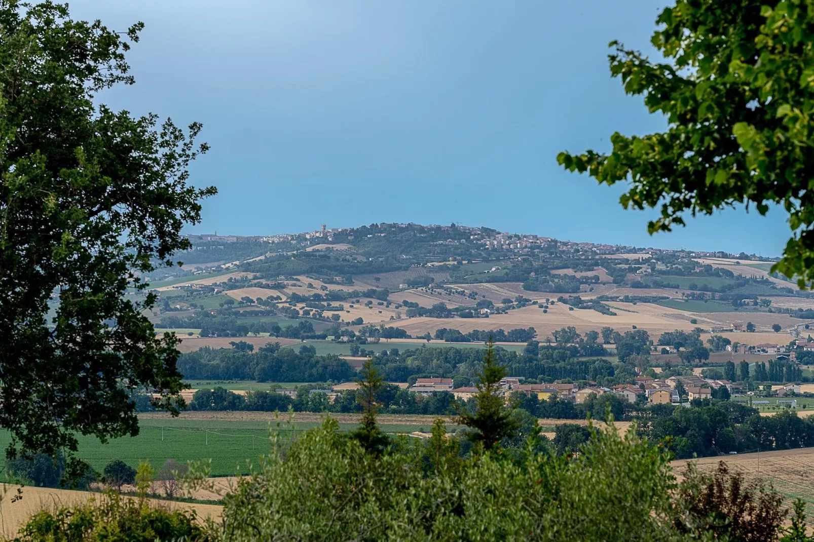 Infiniti Colli-View summer