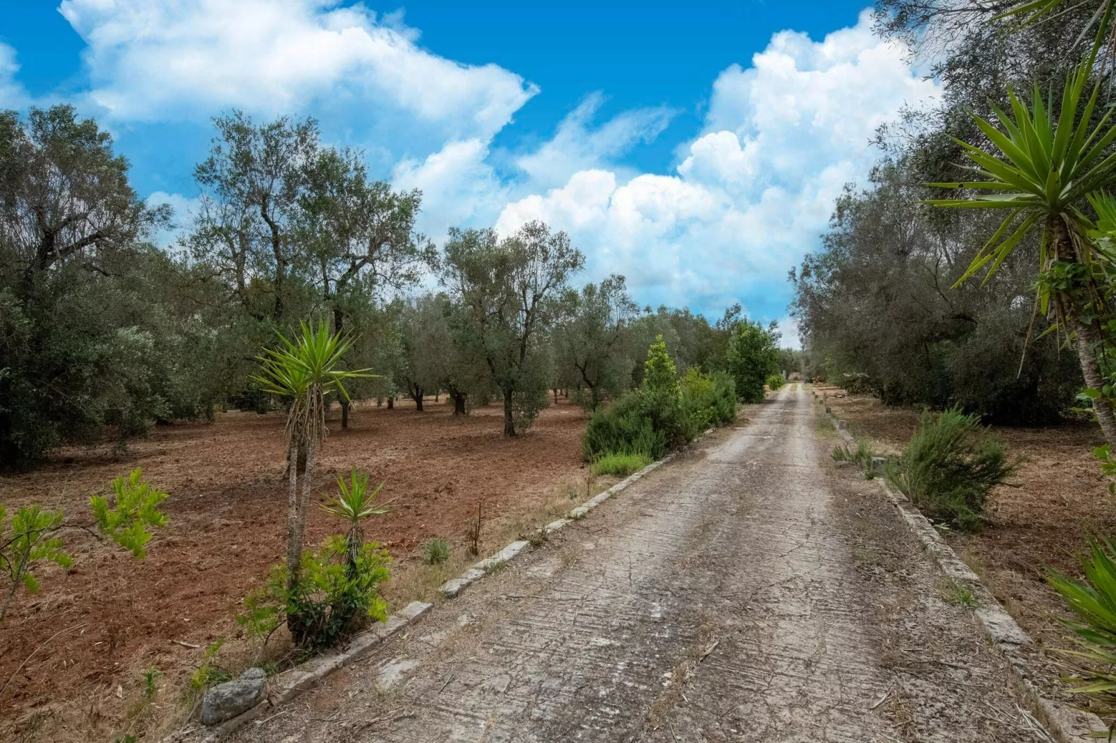 Villa azzurza - Zones été à 1 km